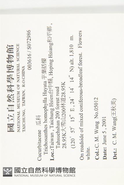 芋葉括樓藏品圖，第2張