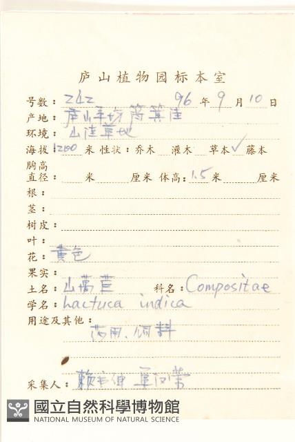 鵝仔草藏品圖，第2張