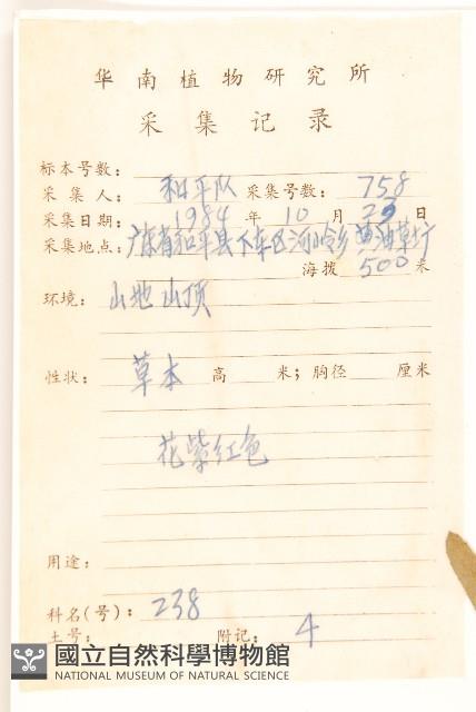 六角草藏品圖，第2張