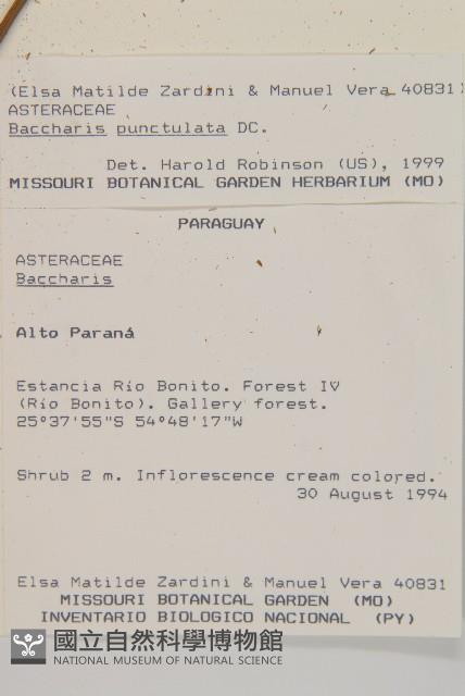 登錄號:S080622藏品圖，第2張