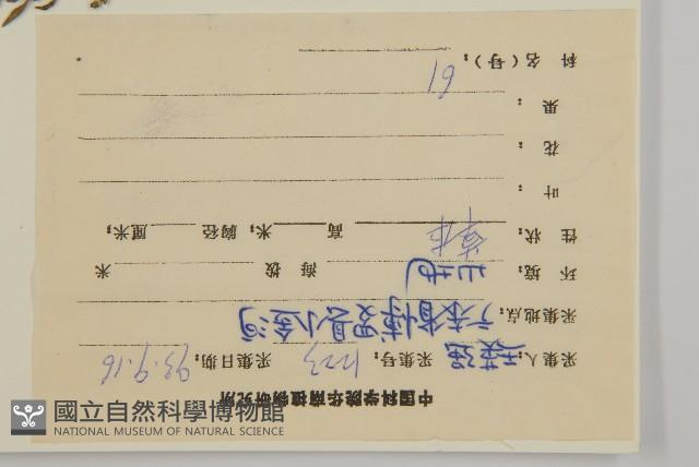 臭杏、土荊芥藏品圖，第2張