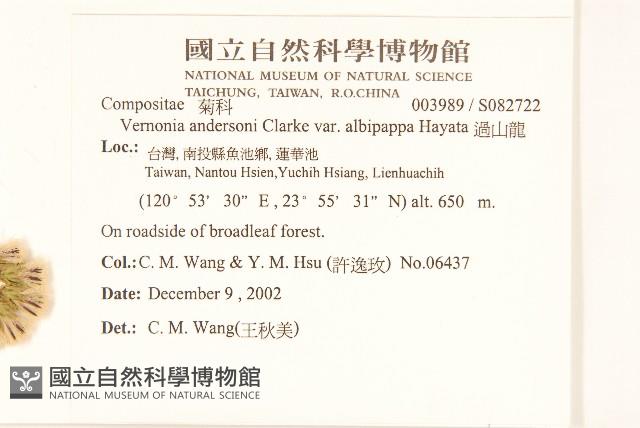 過山龍藏品圖，第2張