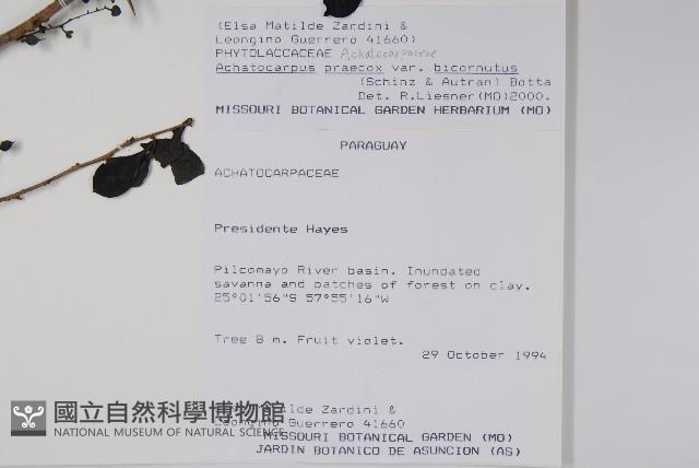 登錄號:S080722藏品圖，第2張