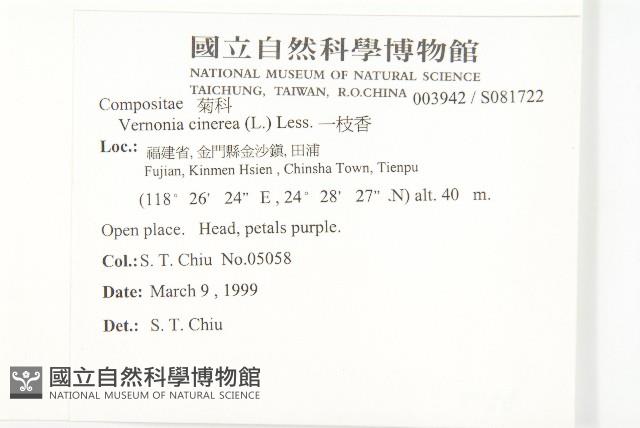 一枝香藏品圖，第2張