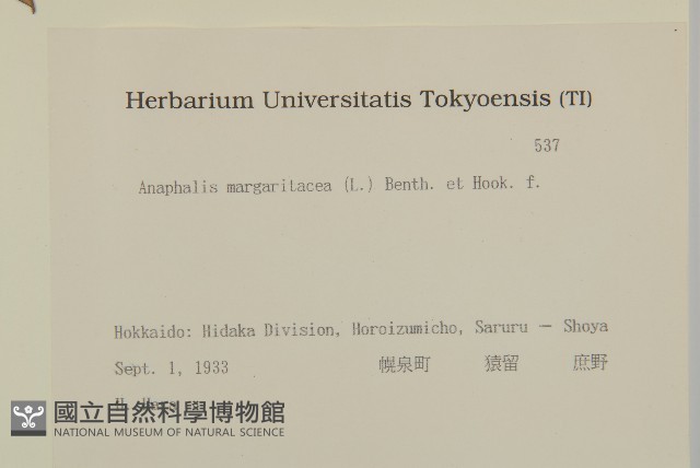 抱莖籟簫藏品圖，第2張