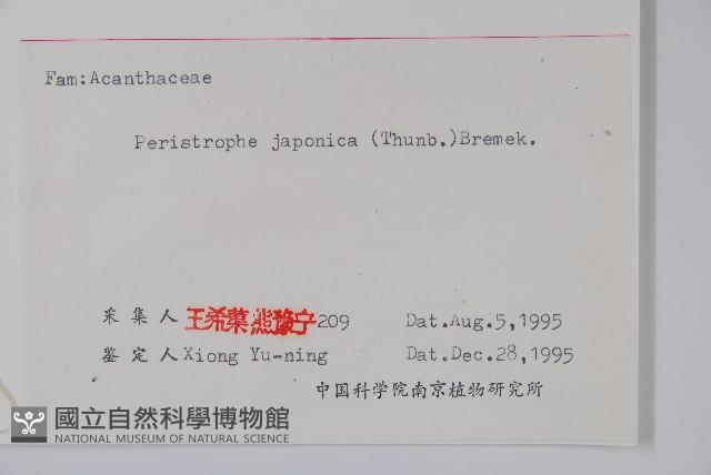 九頭獅子草藏品圖，第2張