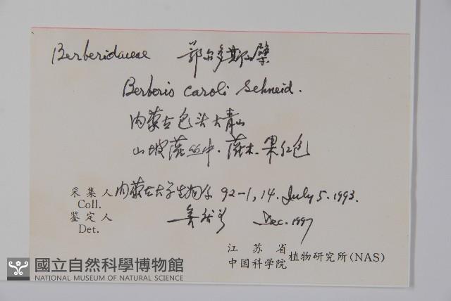 置疑小檗藏品圖，第2張