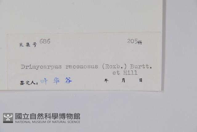 辛果漆藏品圖，第2張