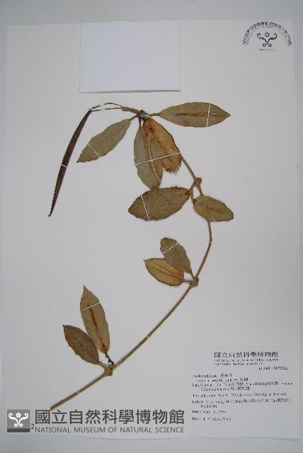 毬蘭藏品圖，第1張