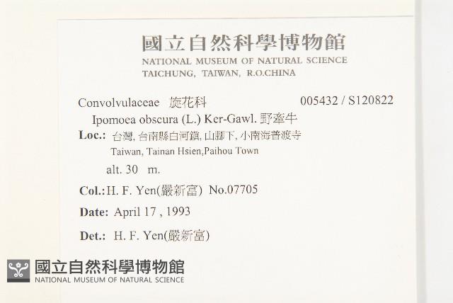 野牽牛藏品圖，第2張