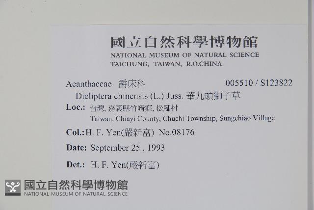 華九頭獅子草藏品圖，第2張