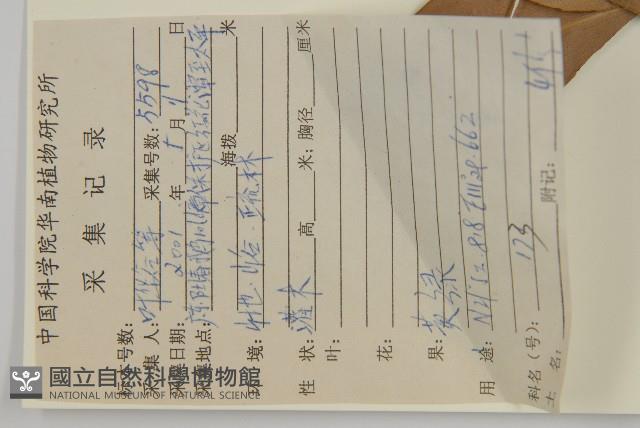 大丁黃藏品圖，第2張