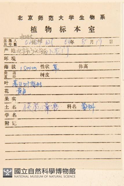 戟葉橐吾藏品圖，第2張