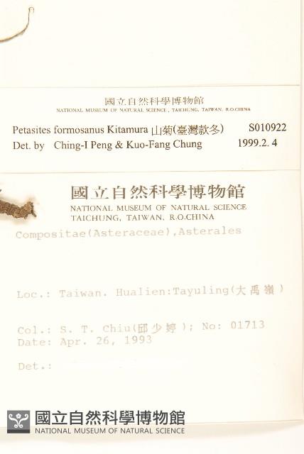 臺灣款冬藏品圖，第2張