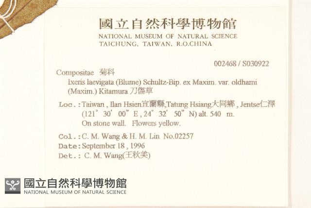 刀傷草藏品圖，第2張