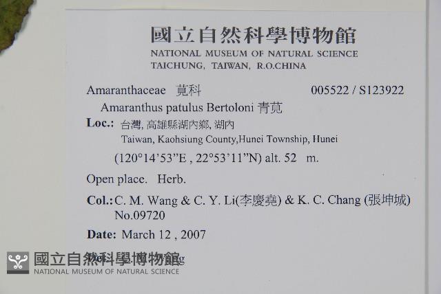 青莧藏品圖，第2張