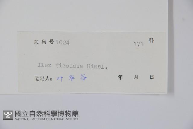 臺灣糊樗藏品圖，第2張