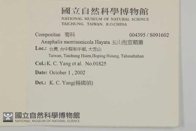 玉山抱莖籟簫藏品圖，第2張