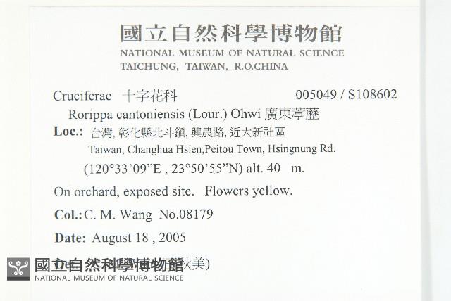 廣東葶藶藏品圖，第2張