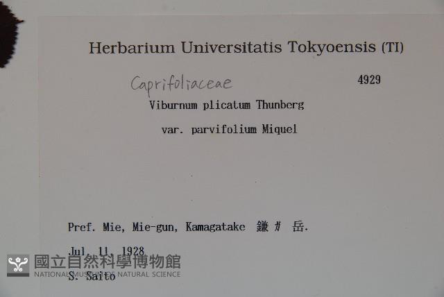 登錄號:S082002藏品圖，第2張