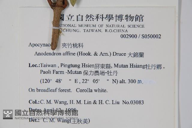 大錦蘭藏品圖，第2張