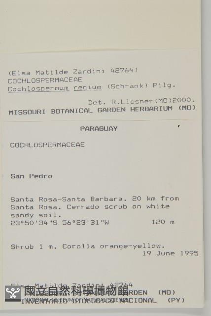 登錄號:S080702藏品圖，第2張