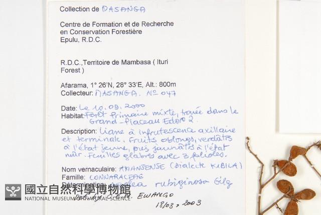 登錄號:S093702藏品圖，第2張