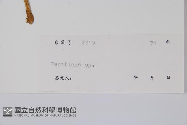 登錄號:S040202藏品圖，第2張