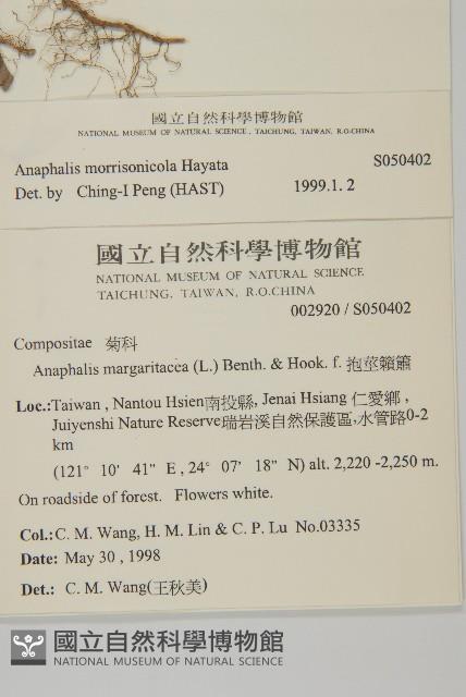 玉山抱莖籟簫藏品圖，第2張