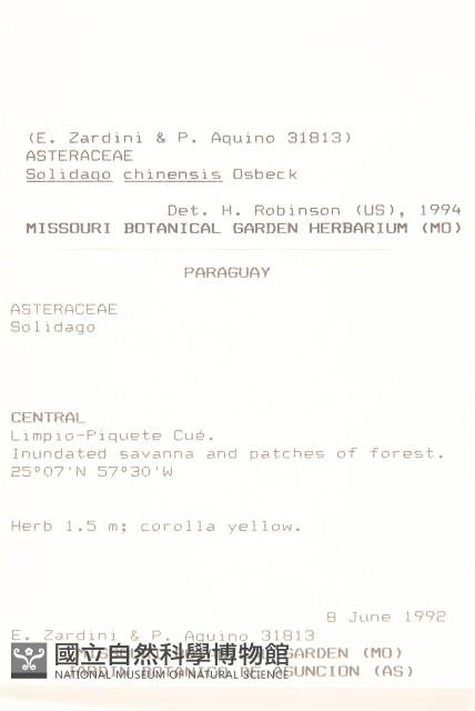 登錄號:S062302藏品圖，第2張