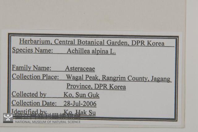 蓍草藏品圖，第2張