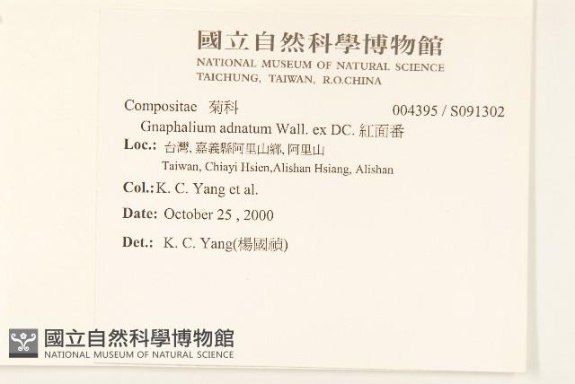 紅面番藏品圖，第2張