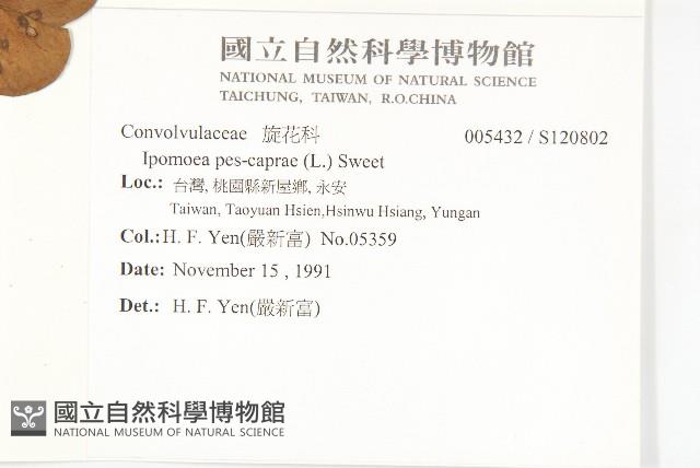 登錄號:S120802藏品圖，第2張