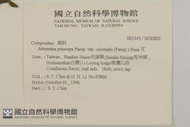 登錄號:S030802藏品圖，第2張