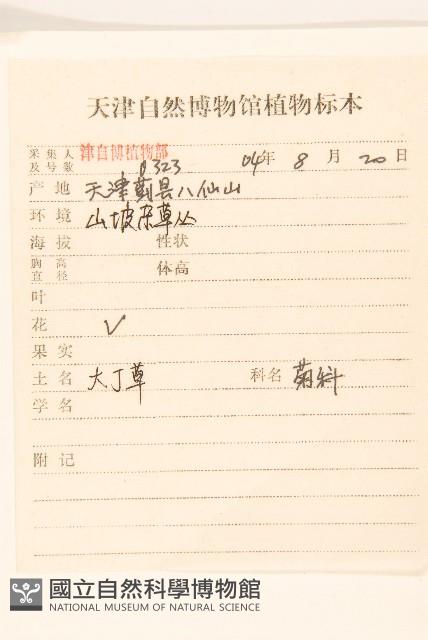 巴氏鐵線蓮藏品圖，第3張