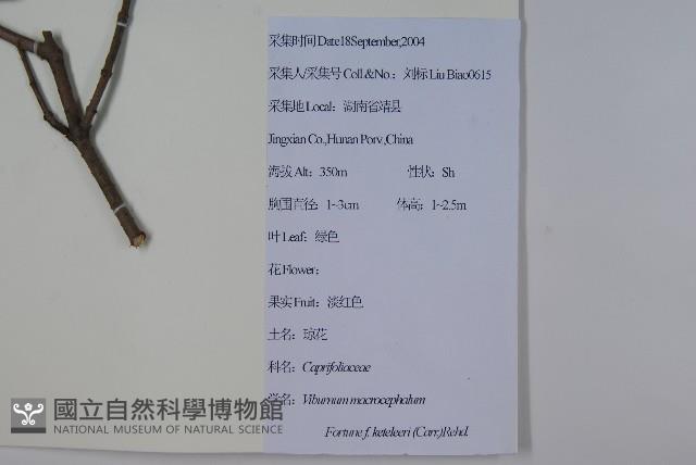 登錄號:S111902藏品圖，第2張