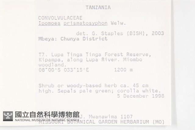 登錄號:S093902藏品圖，第2張