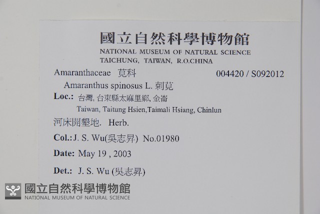 刺莧藏品圖，第2張