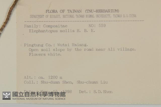 地膽草、毛蓮菜藏品圖，第2張