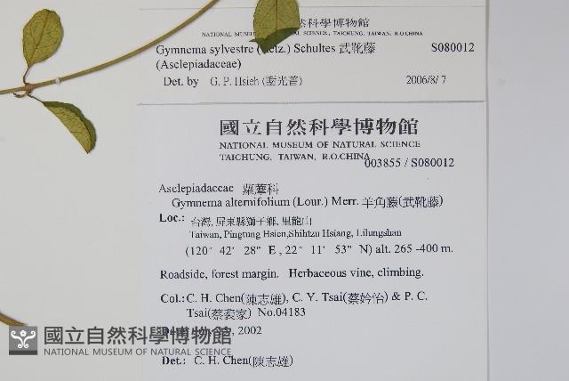 武靴藤藏品圖，第2張