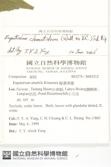 田代氏澤蘭藏品圖，第2張