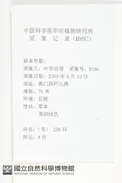 薺藏品圖，第2張