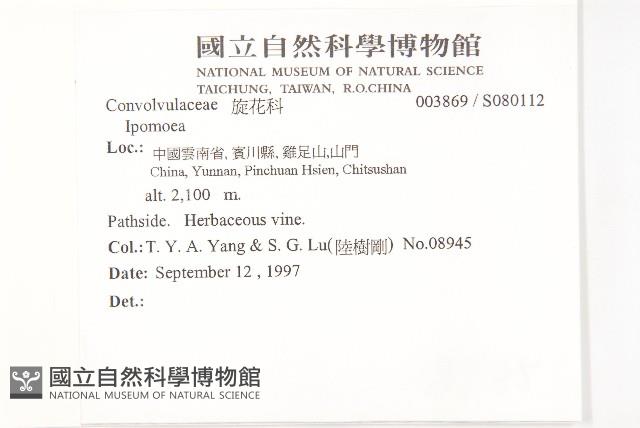 登錄號:S080112藏品圖，第2張