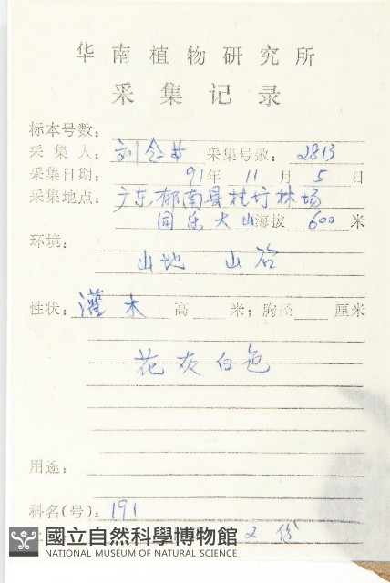 角花胡頹子藏品圖，第2張