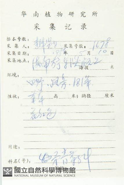 金錢草、錦地羅藏品圖，第2張