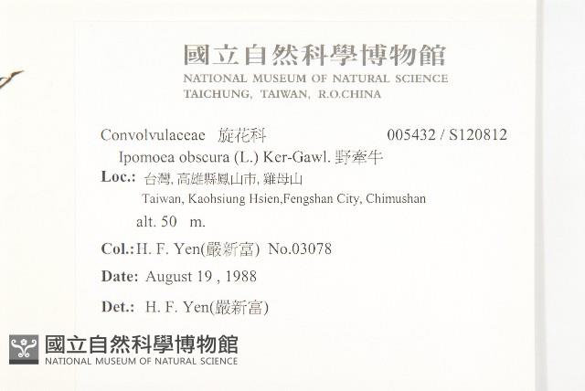 野牽牛藏品圖，第2張