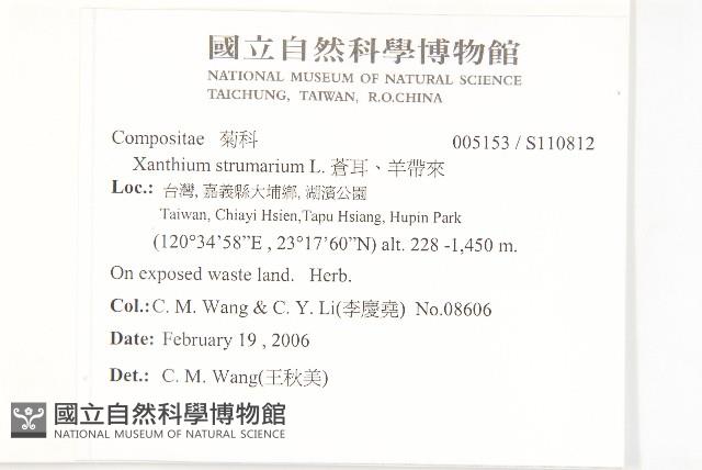 蒼耳、羊帶來藏品圖，第2張