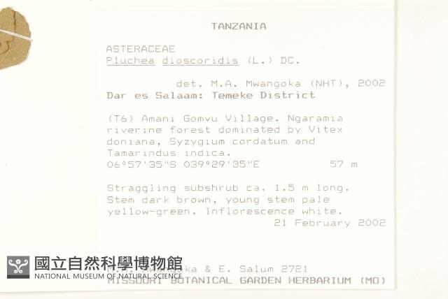 登錄號:S095812藏品圖，第2張