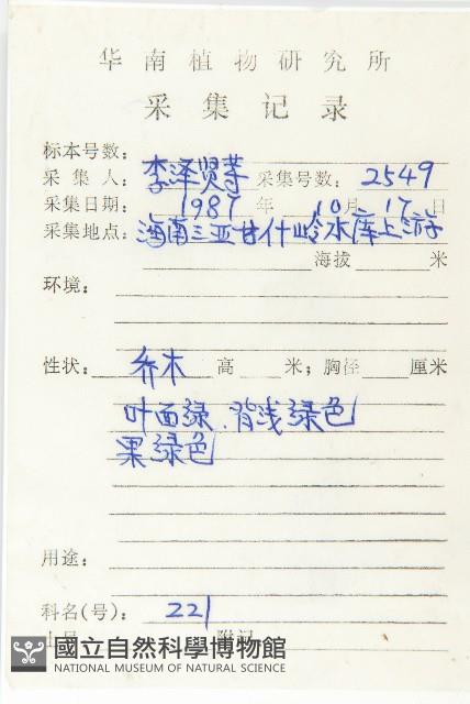 鏡面柿藏品圖，第2張