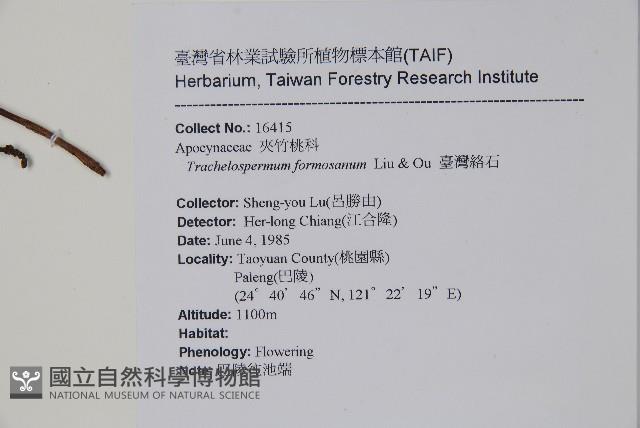 臺灣絡石藏品圖，第2張